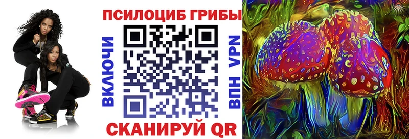 Галлюциногенные грибы MAGIC MUSHROOMS  магазин продажи   darknet клад  Вологда 